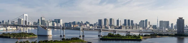 Панорамний Вид Повітря Tokyo Силуети Мосту Веселки Tokyo Башта Над — стокове фото