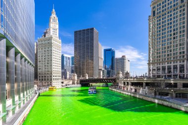 Chicago Skylines, Chicago Nehri 'nin yeşil boyalı nehri boyunca Şikago' daki St. Patrick Günü Festivali 'nde inşa ediliyor.