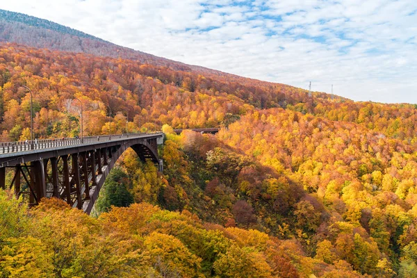 Aomori Tohoku Japonya Jogakura Ohashi Köprüsü Ile Orman Ormanların Sonbahar — Stok fotoğraf