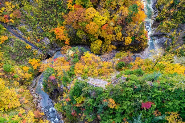 Вид Воздуха Осенний Осенний Пейзаж Леса Леса Рекой Через Мост — стоковое фото