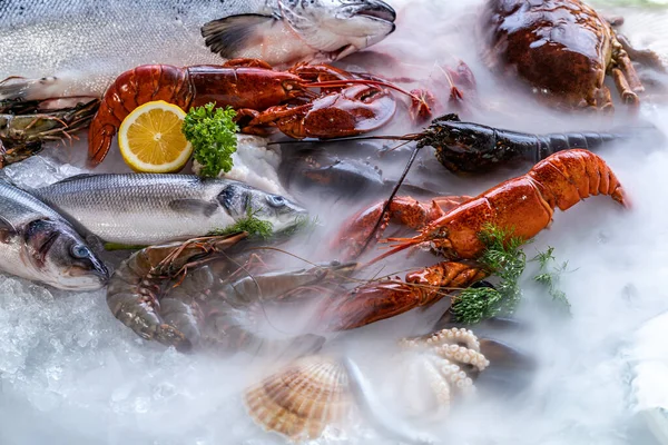 Variedade Frutos Mar Luxo Frescos Lagosta Salmão Carapau Lagostim Camarão — Fotografia de Stock