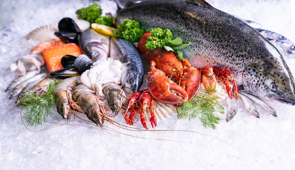 Front view of variety of fresh luxury seafood, Lobster salmon mackerel crayfish prawn octopus mussel and scallop, on ice background.