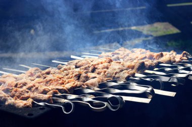 pişirme barbekü et kömüre doğa üzerinde üzerinden. protein ile lezzetli yemek yemeği