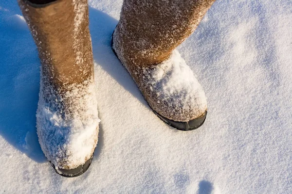 Winter shoes with a large size standing in the snow in the open air.  View from above.  Extreme cold. Photo with tinted instagram