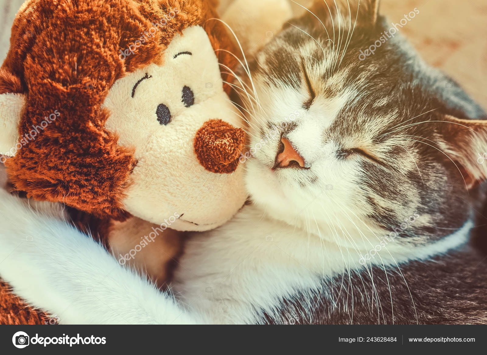 sleeping cat soft toy