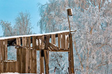 Don ağaçlarda arka plan üzerinde kuşlar için bir ev Bina ahşap harap. Kış soğuk günde kırsal manzara.