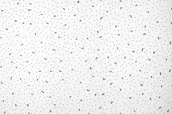 Abstract gray-white background with black dots and specks. The empty light surface of a gypsum-cortona ceiling sheet with small holes.