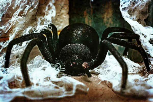 Una enorme tarántula negra o araña se arrastra por el suelo. Juguete de miedo para Halloween — Foto de Stock