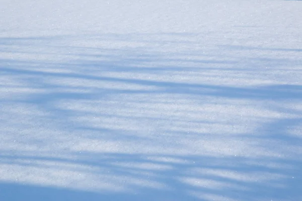 Platt tom yta av fluffiga snö. Glitter av snöflingor i — Stockfoto