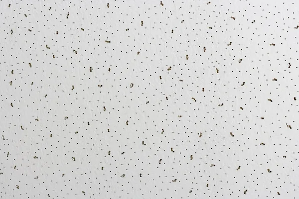 Ceiling tile surface closeup. Abstract white background with bla