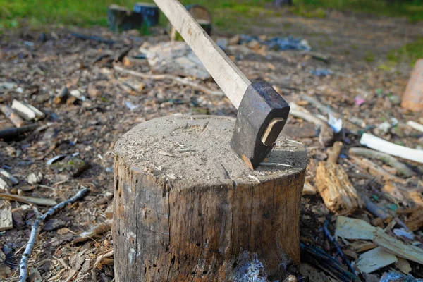 Un hacha en un gallo. Cosecha de madera en el bosque. —  Fotos de Stock