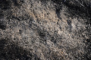 Küllerin soyut arkaplanı. Arkaplan için boş karanlık yüzey. Tasarım için boşluk