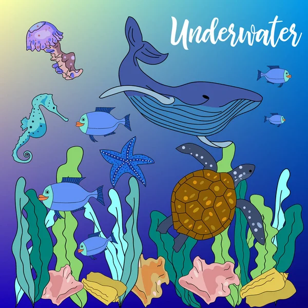 Vektorhintergrund Mit Handgezeichneten Unterwassertieren Und Pflanzen Schildkröte Seepferdchen Seestern Fische — Stockvektor