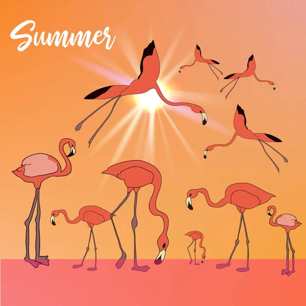 Banner Vetor Tropical Verão Panfleto Com Flamingos Voando Rio Sol — Vetor de Stock