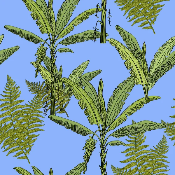 热带手画异国情调收集与香蕉棕榈和蕨在浅蓝色背景的无缝模式 丛林异国风情图案 — 图库矢量图片