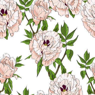 Çiçek Dikişsiz desen beyaz peonies ve yapraklarda beyaz arka plan ile. Elle çizilmiş illüstrasyon.