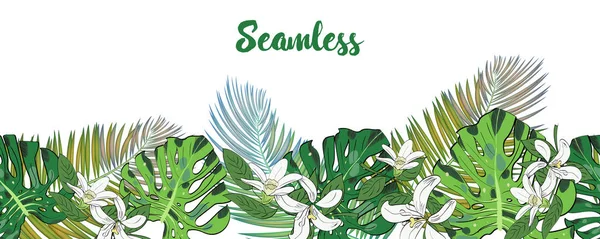 Tropikal yaprak, seamless modeli kenarlık çerçeve metin için yer ile çiçekler. Elle çizilmiş kroki monstera, palmiye ve bergamot çiçek dekorasyon kumaş, tekstil veya grafik tasarım.