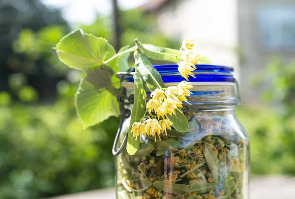 Ihlamur Çiçeği Ile Jar Bahçedeki Ahşap Masa Ihlamur Çiçeği Tezgah — Stok fotoğraf