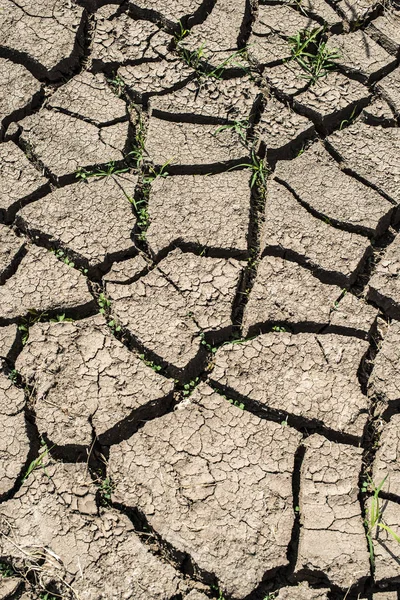 Fondo Suelo Agrietado Día Soleado — Foto de Stock