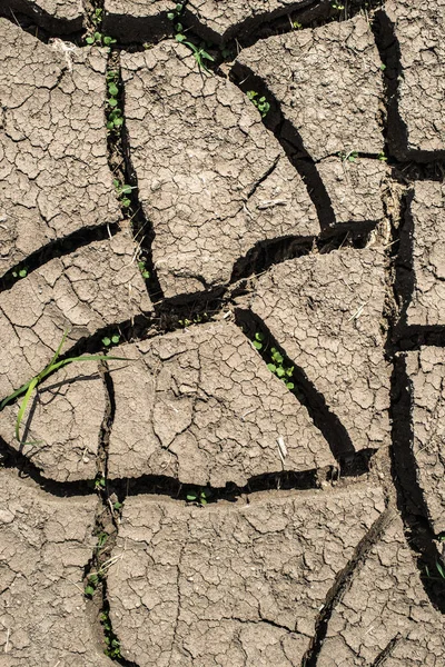 Fondo Suelo Agrietado Día Soleado — Foto de Stock