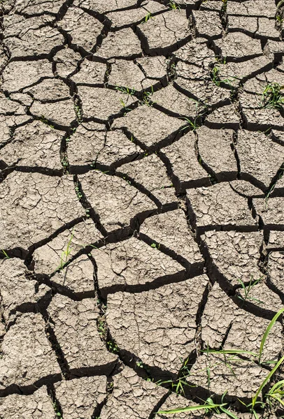 Cracked Soil Drought — Stock Photo, Image