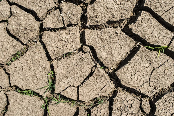 Cracked Soil Drought — Stock Photo, Image