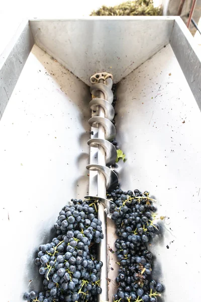 Машина Дробления Винограда Винодельне — стоковое фото