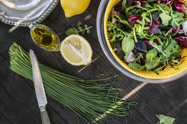 Bahar Yeşil Salata Bebek Ispanak Otlar Roka Marul Yoğurt Zeytinyağı — Stok fotoğraf
