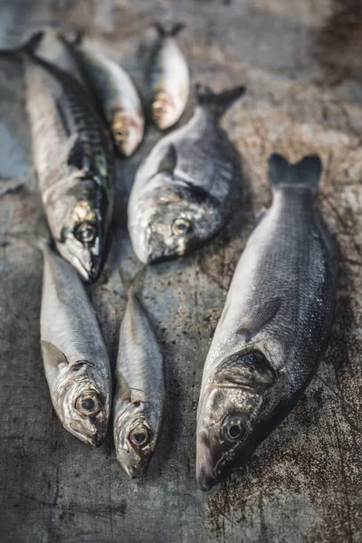 Raw Fish Sea Bream Sea Bass Mackerel Sardines Dark Metal — Stock Photo, Image