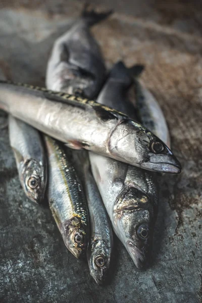 Raw Fish Sea Bream Sea Bass Mackerel Sardines Dark Metal — Stock Photo, Image