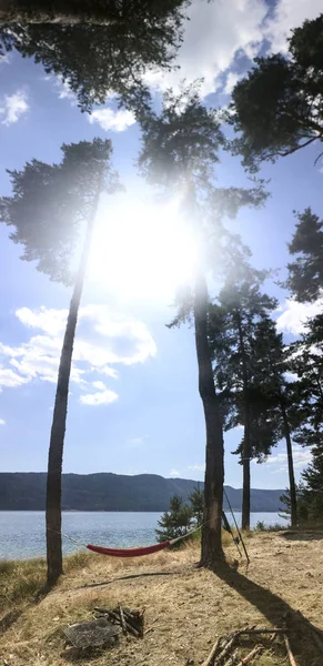 Orman Dağ Gölü Panoraması Hamak Iki Çam Ağaçları Bağladım Güneşli — Stok fotoğraf