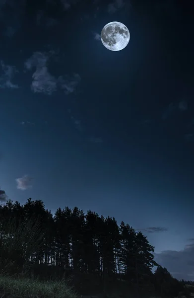 Gece Bulutlarda Ormanda Yapıyorum Alan Arka Plan Kopyalayın Koyu Mavi — Stok fotoğraf