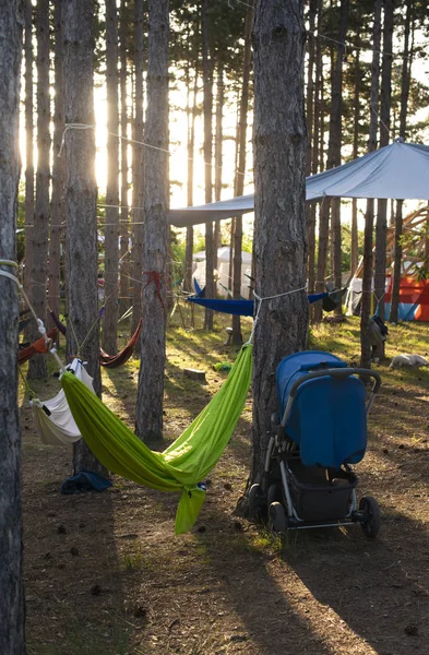 Hängmattor på träd i skogen. Solsken morgon i skogen. — Stockfoto