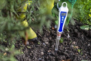 PH meter tester in soil. Measure soil with digital device.  clipart