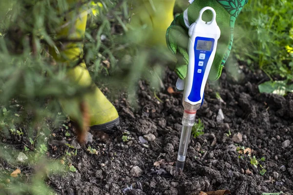PH meter tester in soil. Measure soil with digital device. — Stock Photo, Image