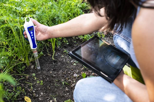 PH meter tester in soil. Measure soil with digital device and ta — Stock Photo, Image