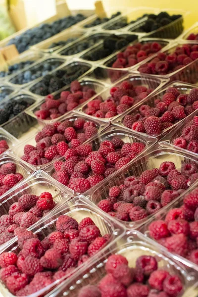 Frambuesas y arándanos en estantería en el mercado . —  Fotos de Stock