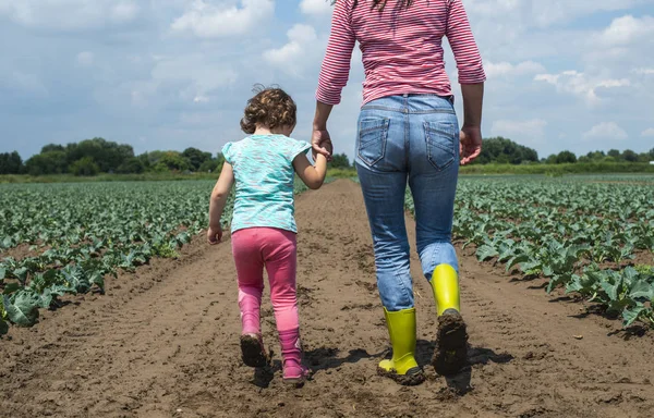 Mujer y niño en plantación de repollo . — Foto de Stock