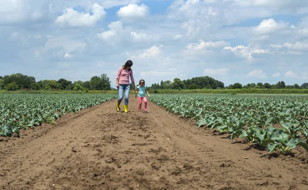 Жінка і дитина на капустяній плантації . — стокове фото