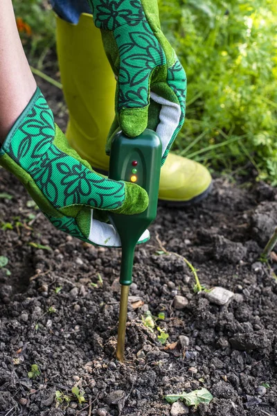 Nutriments compteur de sol. Mesurer le sol pour la teneur en azote avec creuser — Photo