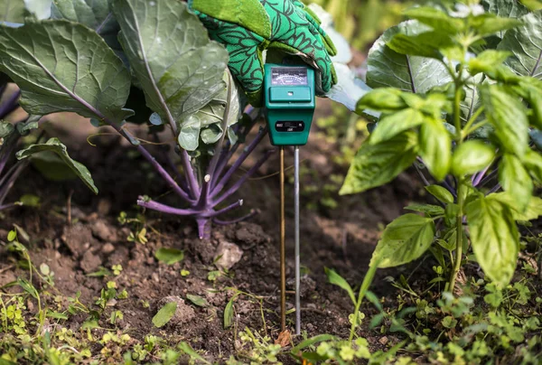 Moisture meter tester in soil. Measure soil for humidity, nitrog — Stock Photo, Image