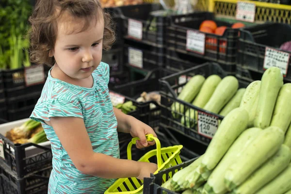 Child collect zucchini in basket. — Stock Photo, Image