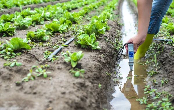 Mulher mesures água de irrigação com medidor PH digital em rega — Fotografia de Stock