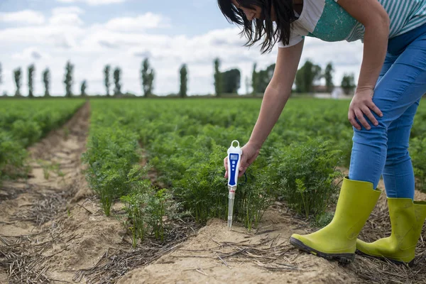 Mät jord med digital apparat. Gröna växter och kvinna bonde — Stockfoto
