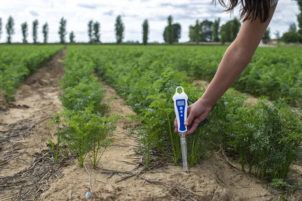 Meet de grond met digitaal apparaat. Groene planten en vrouw boer — Stockfoto