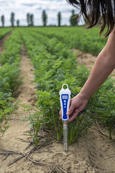 Zmierz glebę z urządzeniem cyfrowym. Zielone rośliny i kobieta rolnik — Zdjęcie stockowe