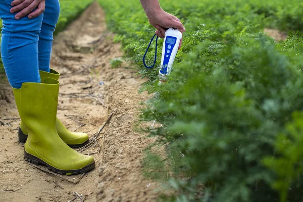 Measure soil with digital device. Green plants and woman farmer — Stock Photo, Image