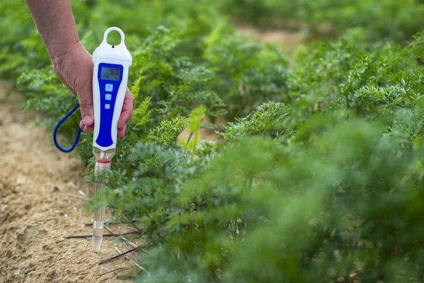 Μετρήστε το χώμα με την ψηφιακή συσκευή. Πράσινα φυτά και γυναίκες αγρότες — Φωτογραφία Αρχείου