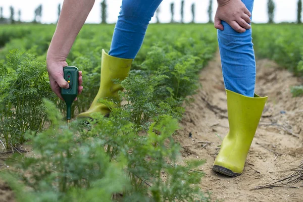 Meça o solo com dispositivo digital. Plantas verdes e agricultor mulher — Fotografia de Stock