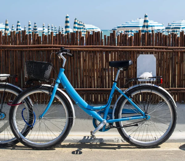 Noleggio biciclette sulla spiaggia. Biciclette blu in strada . — Foto Stock